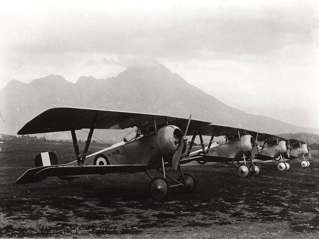 Nieuport Macchi N17