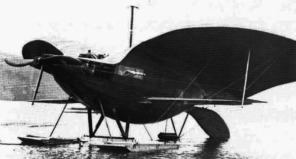 Curtiss Goupil Duck