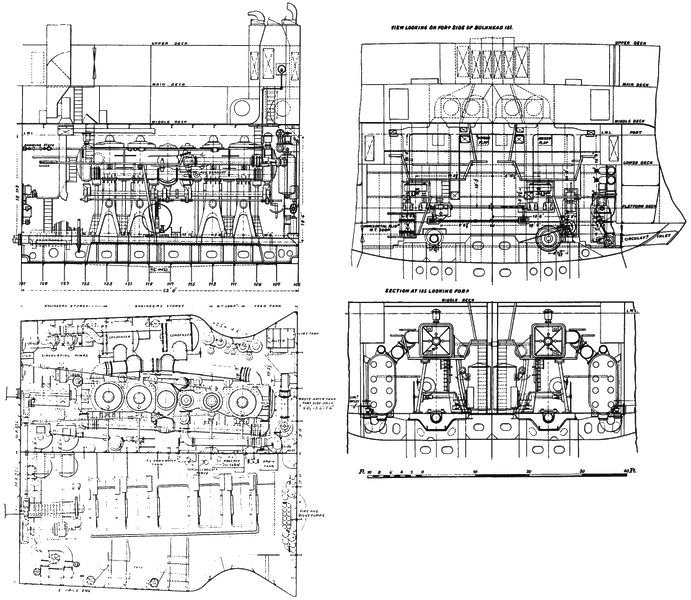 nelson-structure-details